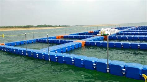 fish cage|Cage Aquaculture, Fish Cage Culture, Business Plan.